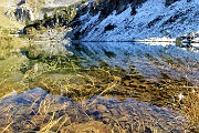 48 Lago Grande (2030 m) con erbe acquatiche